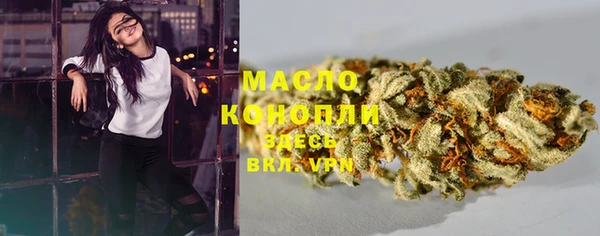 дживик Богородицк