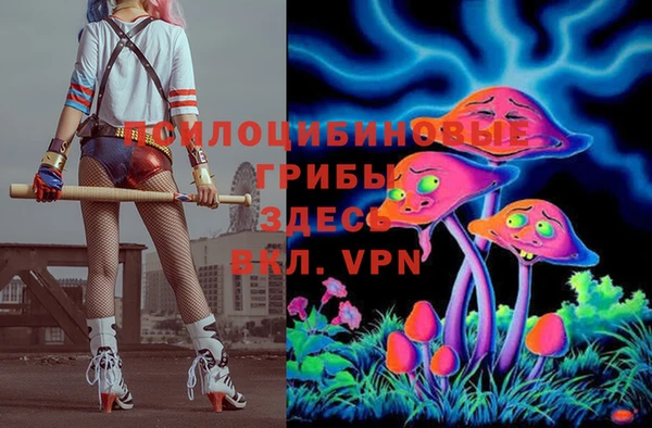 гашиш Богданович