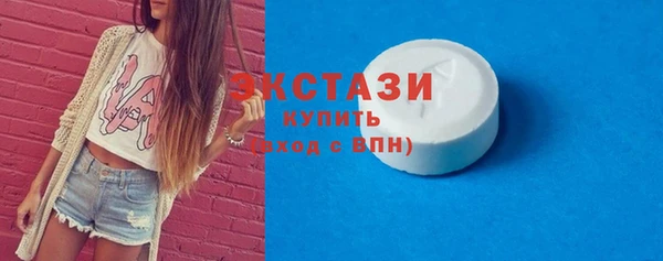 дживик Богородицк