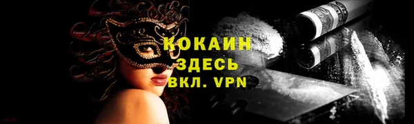 дживик Богородицк