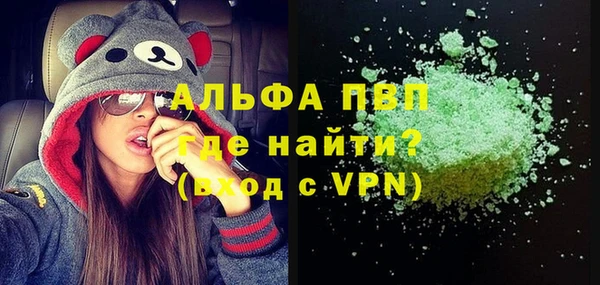стаф Белокуриха