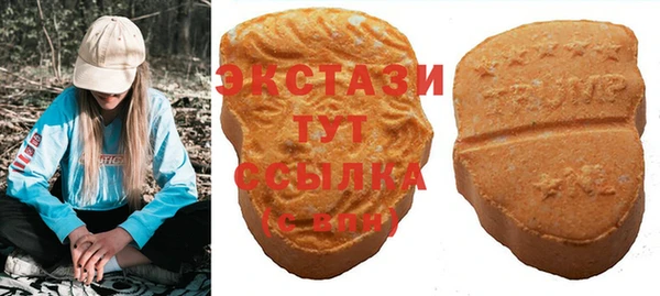 дживик Богородицк