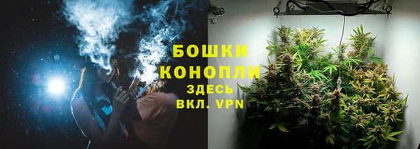 гашиш Богданович