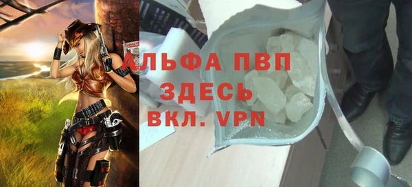 гашиш Богданович