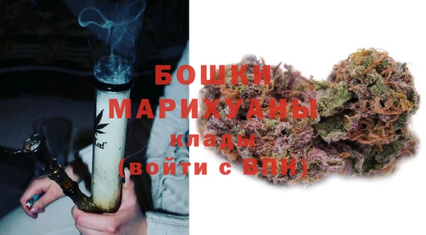 дживик Богородицк